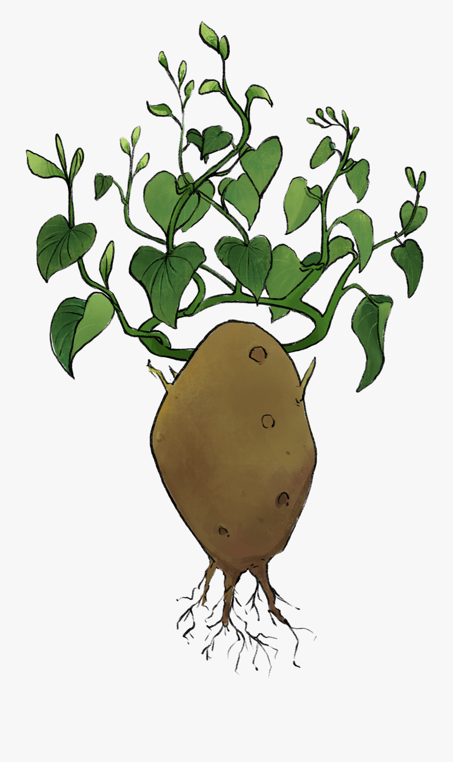 Transparent Leaf Crown Png, Transparent Clipart