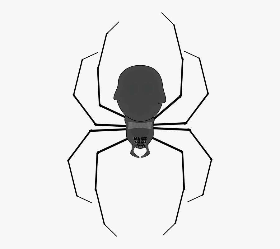 Spider Clip Art, Transparent Clipart