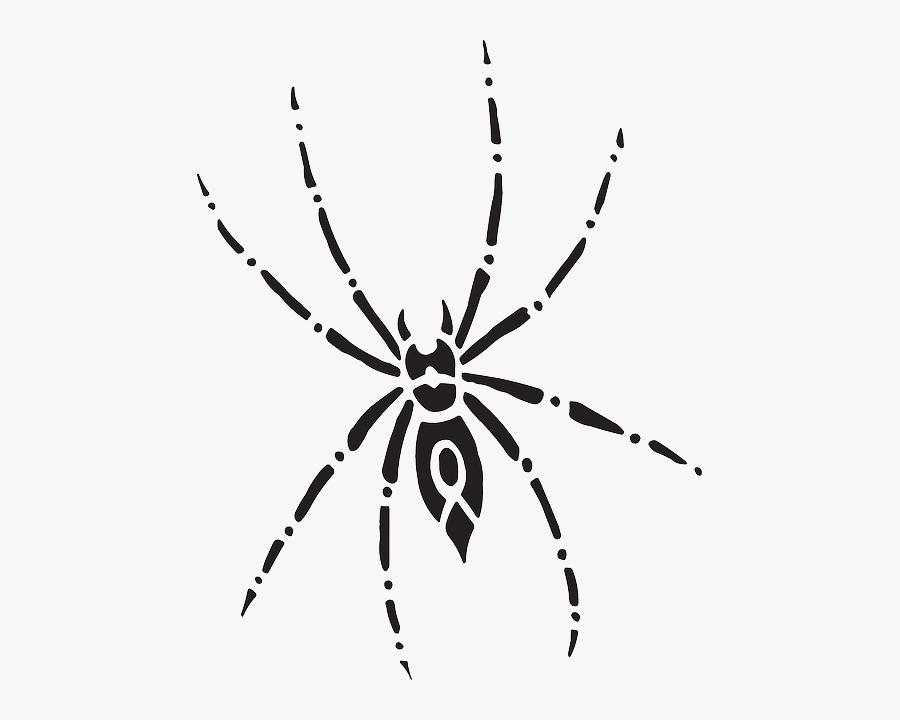 Arachnid Spider, Body, Eight, Art, Legs, Arachnid - Spider Top View, Transparent Clipart
