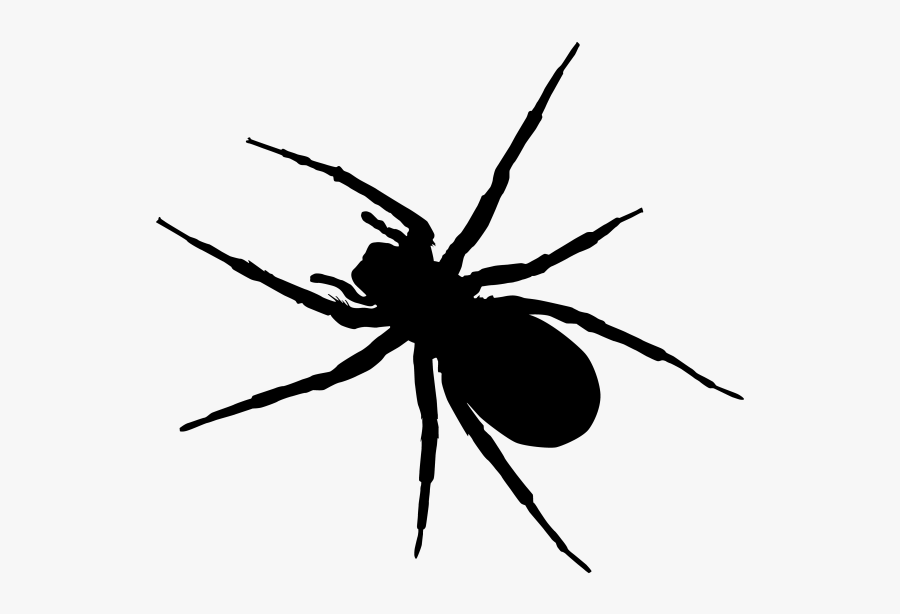 Free Spider Clipart - Spider Vector Art, Transparent Clipart