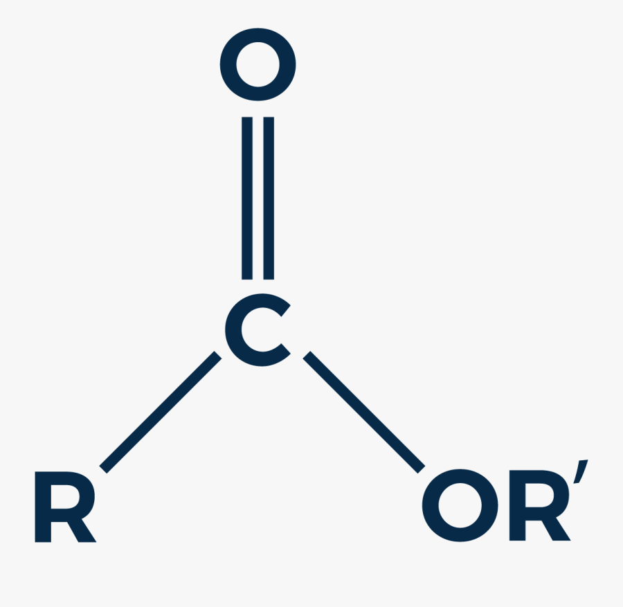 Ester, Transparent Clipart