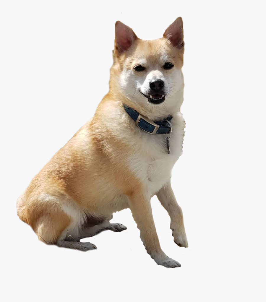 Hokkaido, Transparent Clipart