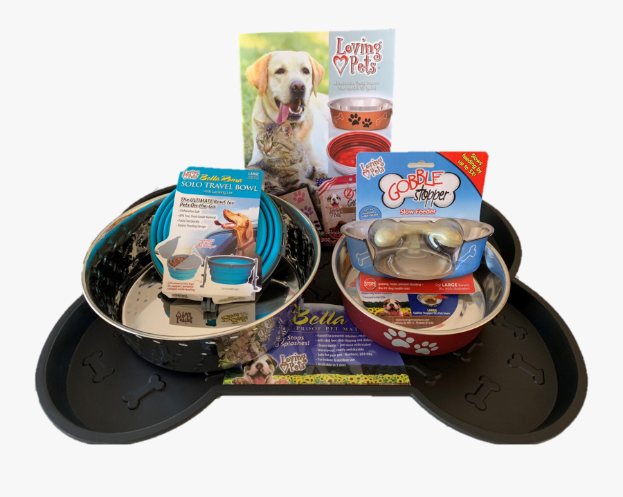 Labrador Retriever, Transparent Clipart