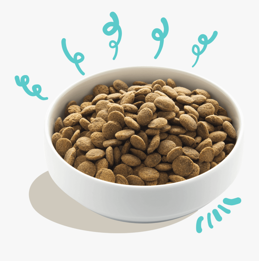 Seed, Transparent Clipart