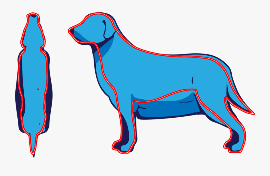 Pet, Transparent Clipart