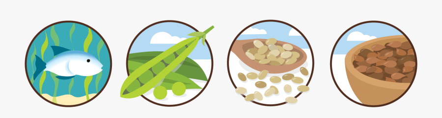 Circle, Transparent Clipart