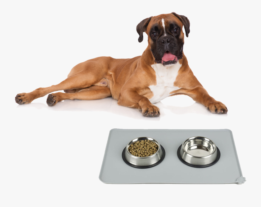 Dog With Transparent Background, Transparent Clipart