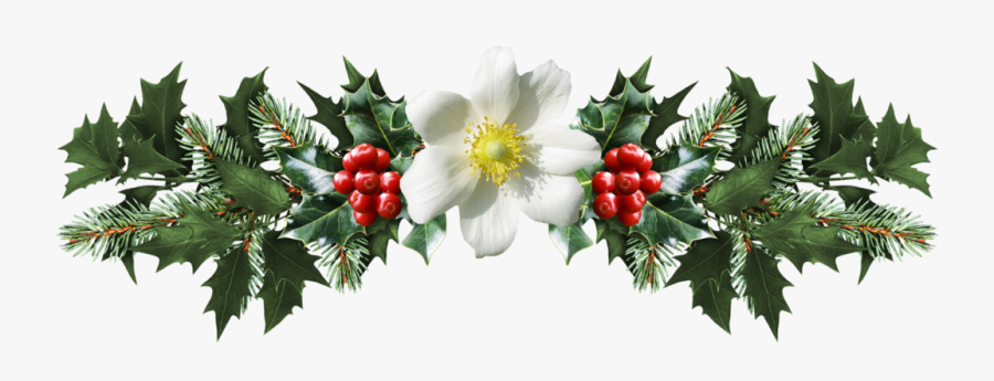 Clip Art Mistletoe Png - Mistletoe Png, Transparent Clipart