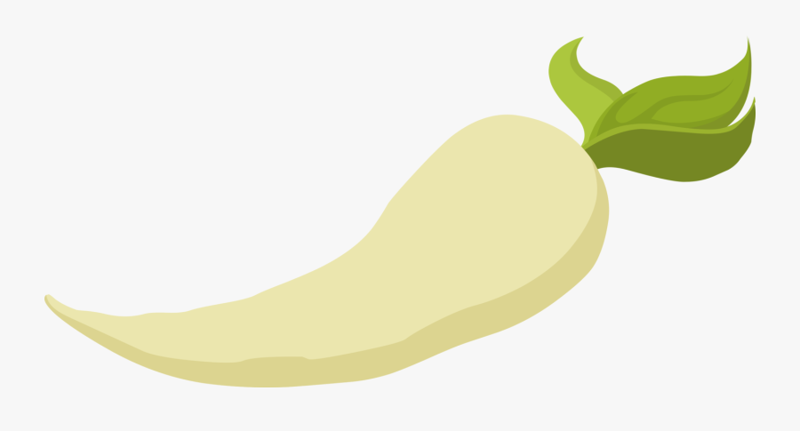 Plant,leaf,commodity - Parsnip Svg, Transparent Clipart