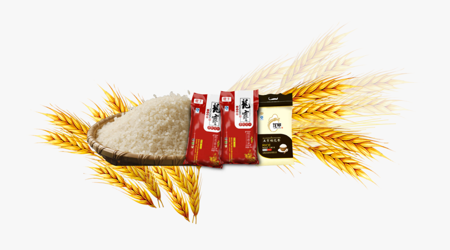 Rice Gadu Common Barley - Dibujos De Arroz Y Cebada, Transparent Clipart