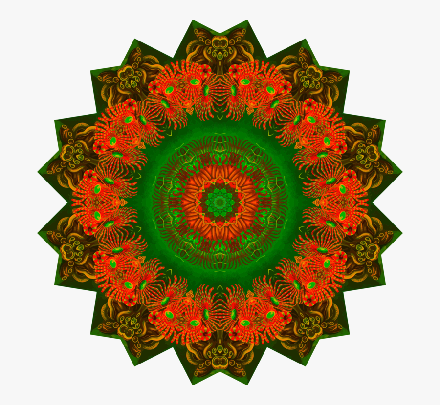 Plant,toy,art - Circle, Transparent Clipart