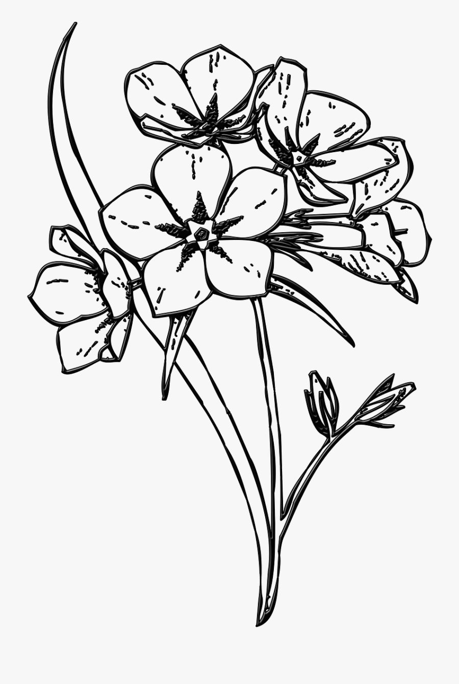Flowers Illustration Black And White Png, Transparent Clipart