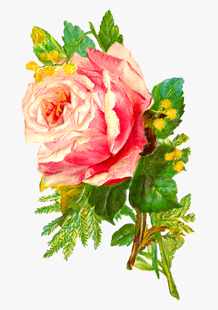 The Second Digital Flower Image Is Of A Bunch Of Pink - Hd Digital Flower Png, Transparent Clipart