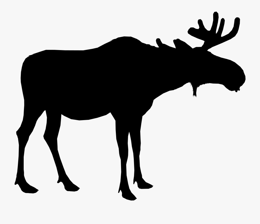 Moose Silhouette Deer Vector Graphics Portable Network - Moose Transparent Background, Transparent Clipart