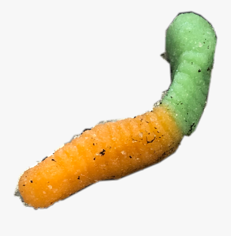 #dirty #gummy #gummiworm #yummy #worm #ohworm #wormfriend - Maguey Worm, Transparent Clipart