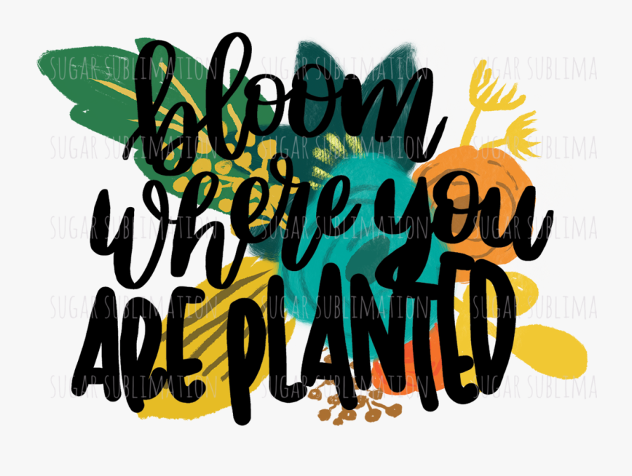 Bloom Where You Are Planted - Illustration, Transparent Clipart