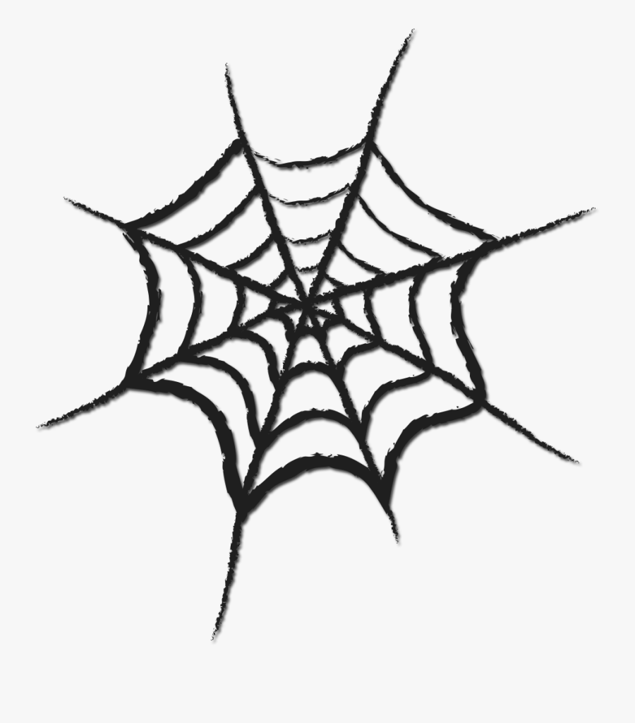 Bats Can Eat 14 Fruit Flies In One Minute Clipart , - Transparent Background Spider Web Icon, Transparent Clipart