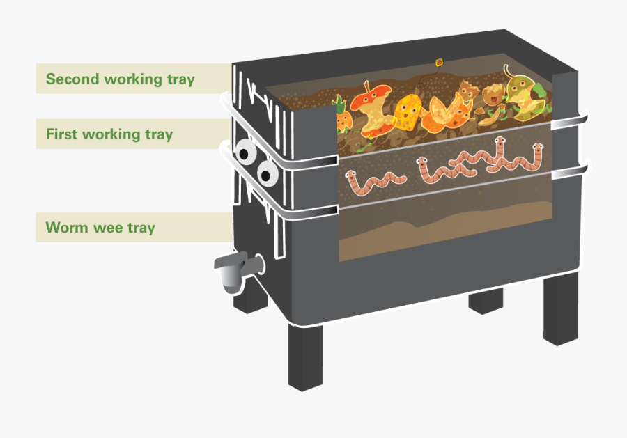 Settling-in - Barbecue Grill, Transparent Clipart