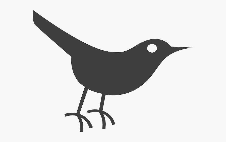 Black Crow - Twitter Bird Icon, Transparent Clipart