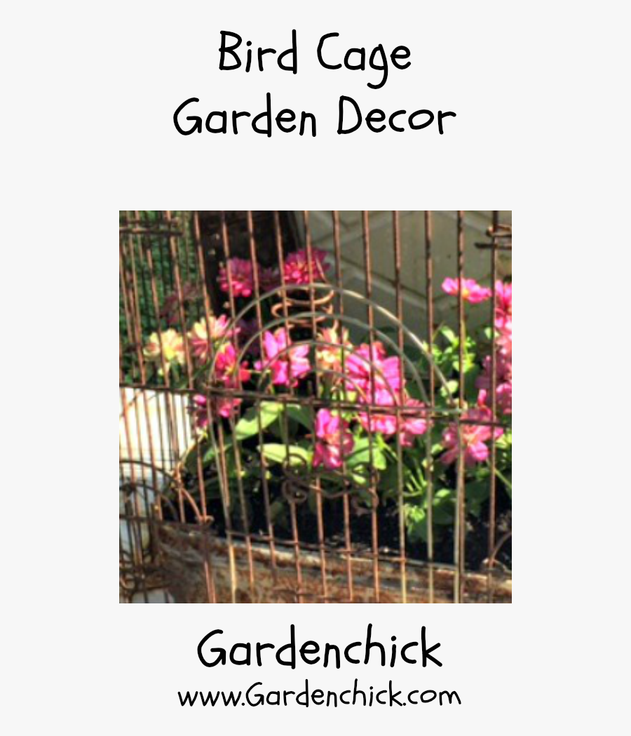 Transparent Bird Cage Png - Sweet Pea, Transparent Clipart