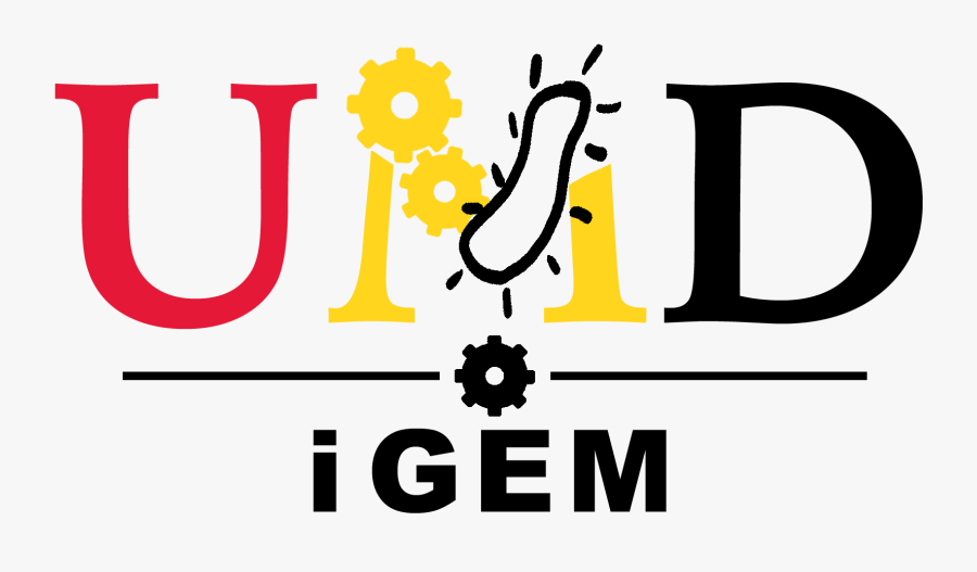 Team Umaryland Results Igem, Transparent Clipart