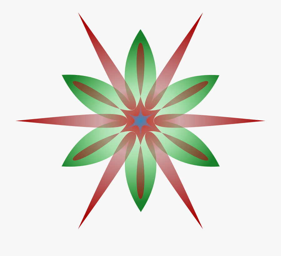 Starburst Flower Red And Green Free Picture - Autonomic Dysreflexia, Transparent Clipart