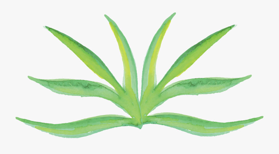 Watercolor Plants Png - Png Transparent Watercolor Plant, Transparent Clipart