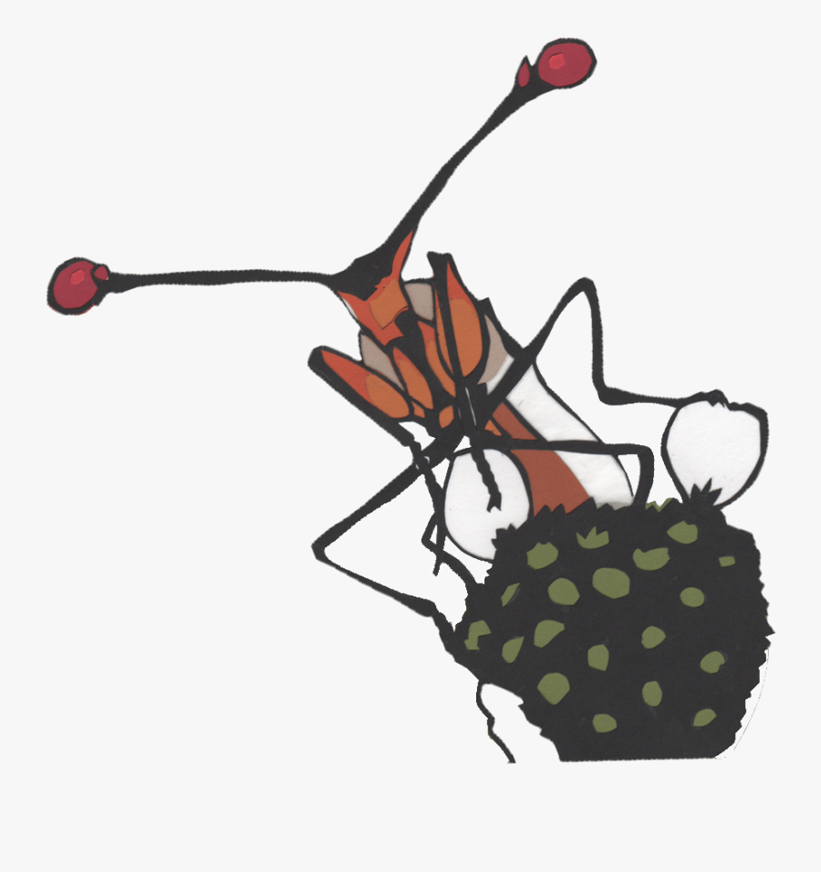 Stalk-eyed Fly Clipart, Transparent Clipart