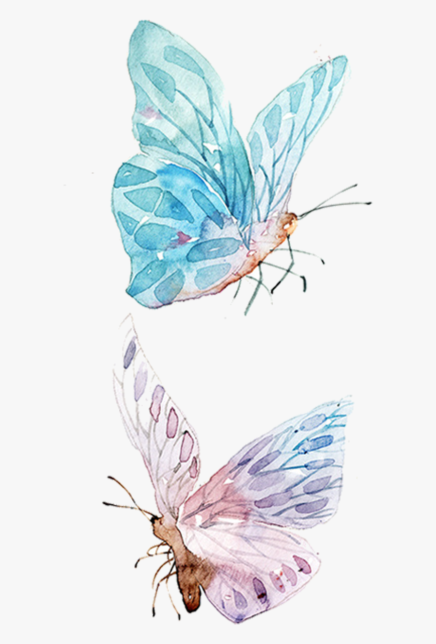 Butterfly Watercolor Drawing Png, Transparent Clipart
