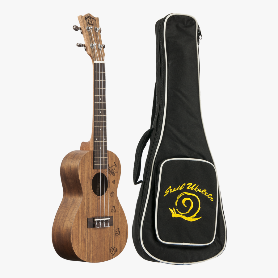 Snail Koa Ukulele, Transparent Clipart