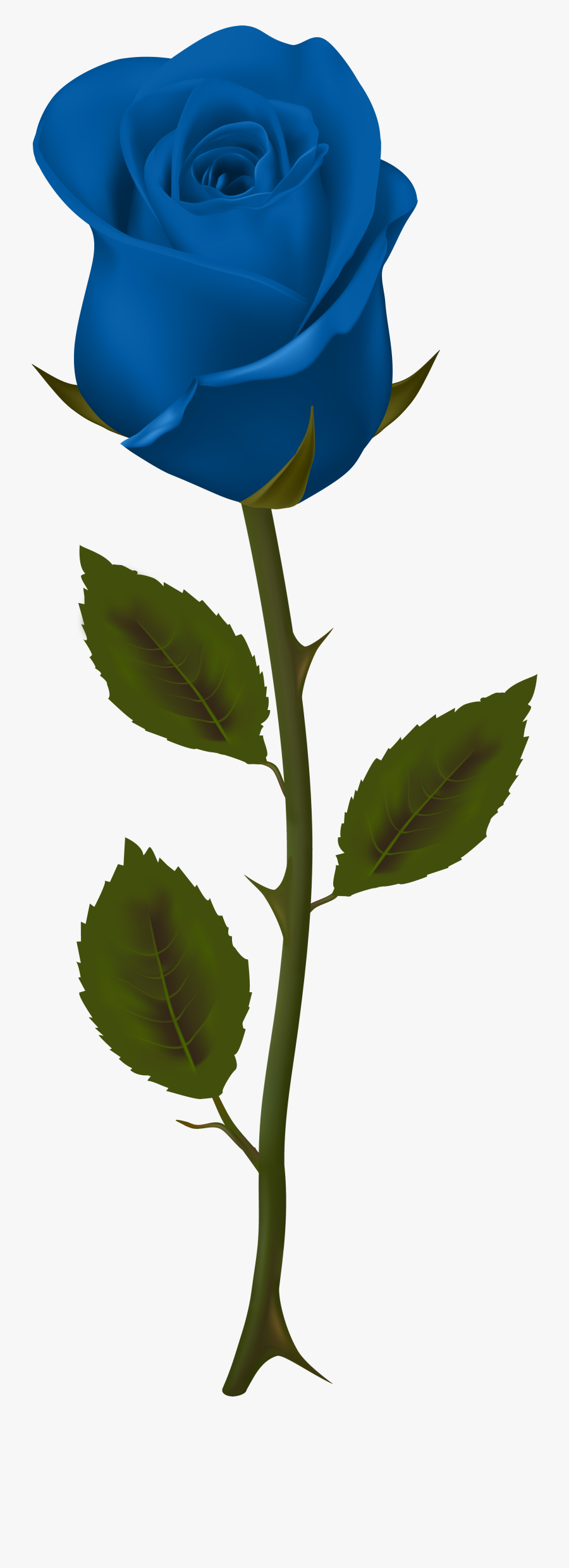 Blue Rose No Background Clipart , Png Download - Blue Rose No Background, Transparent Clipart