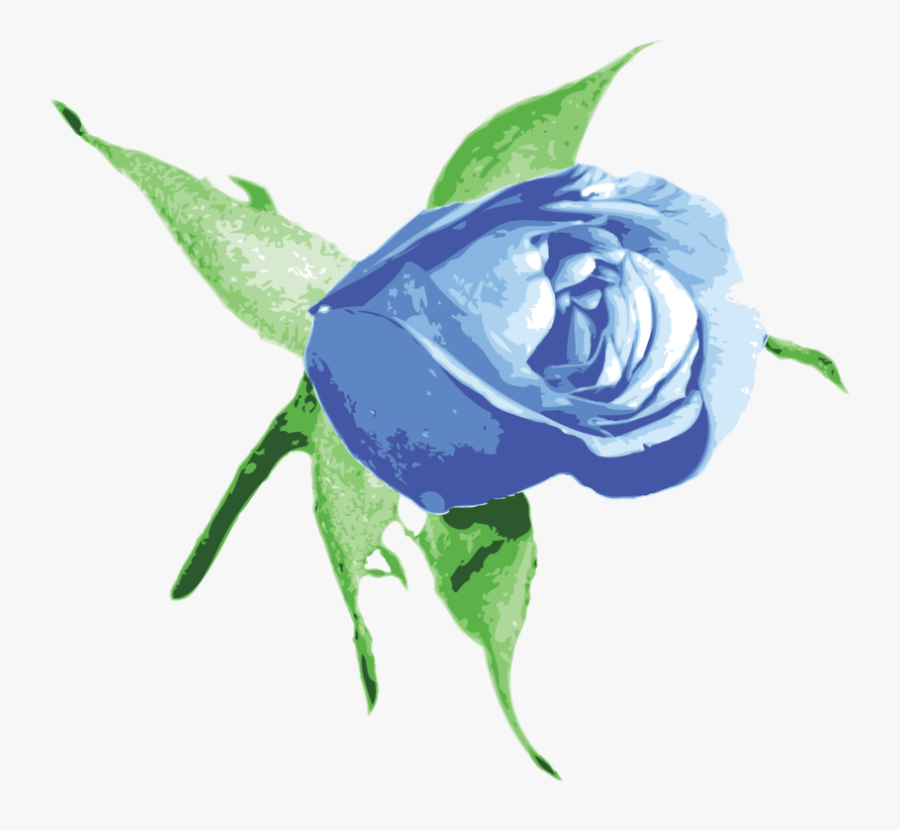 Plant,flower,rose Order - Transparent Png Blue Rose Png Hd, Transparent Clipart