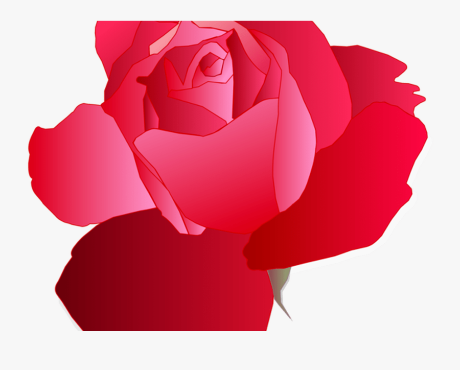 Blue Rose Drawing Flower Free Commercial Clipart Garden - Rose Blue Vector Free, Transparent Clipart