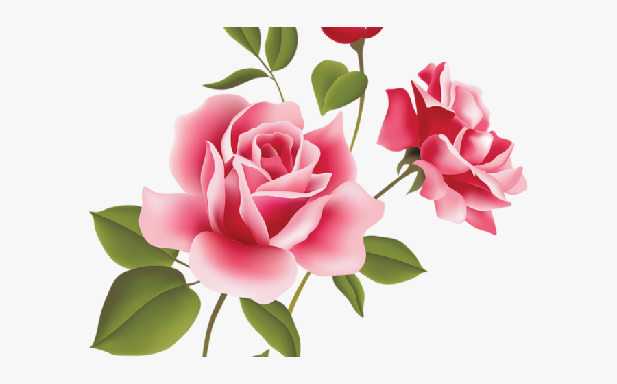 Rose Flower Image Hd, Transparent Clipart