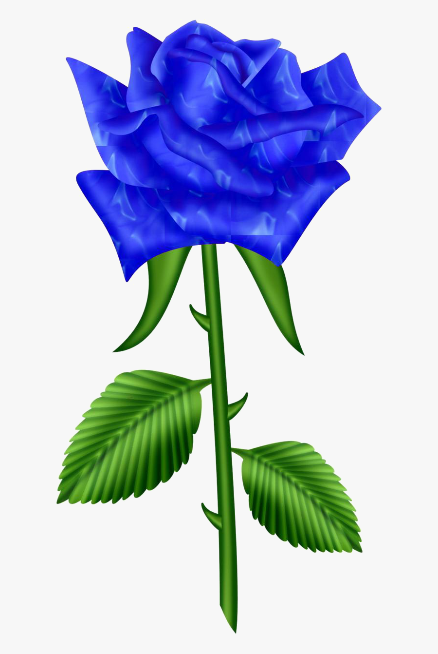 ดอก กุหลาบ สี เหลือง สวย ๆ ภาพ วาด, Transparent Clipart