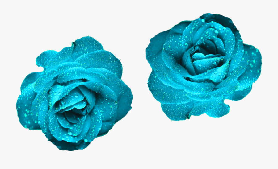 Glowing Blue Roses Blue Color Roses Png Png Nature - Blue Glowing Flowers Png, Transparent Clipart