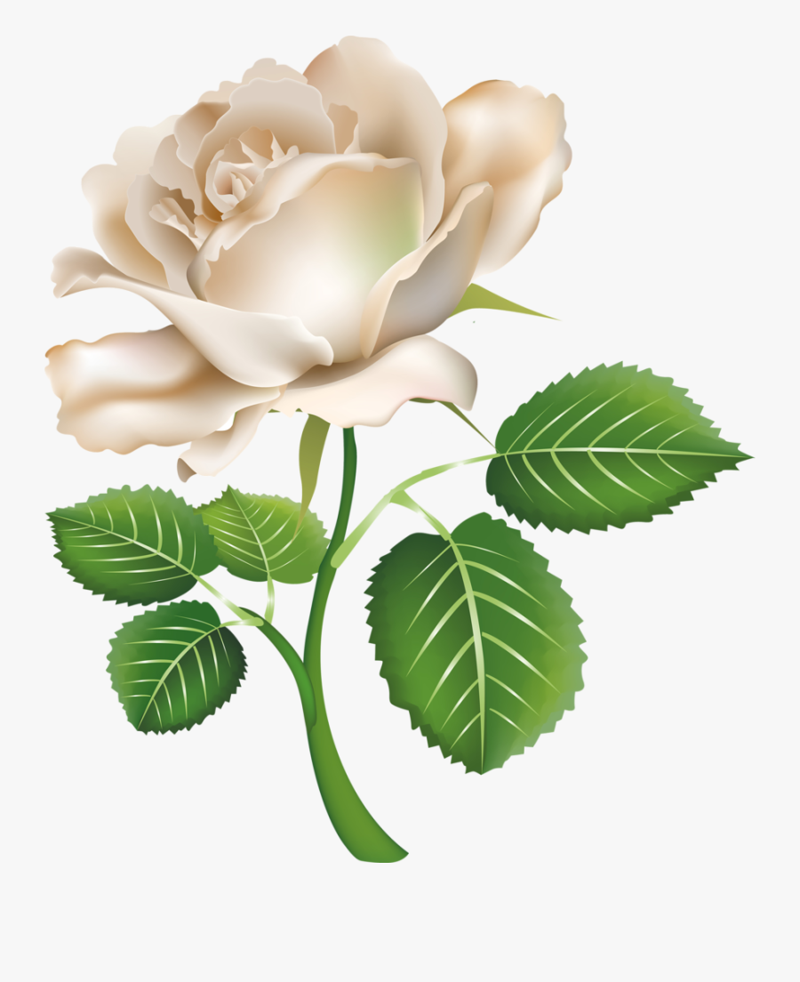 Flôres Watercolor Rose, Blue Flowers, Flower Art, Flower - Rose, Transparent Clipart