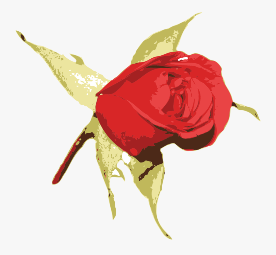 Plant,flower,leaf - Transparent Png Blue Rose Png Hd, Transparent Clipart