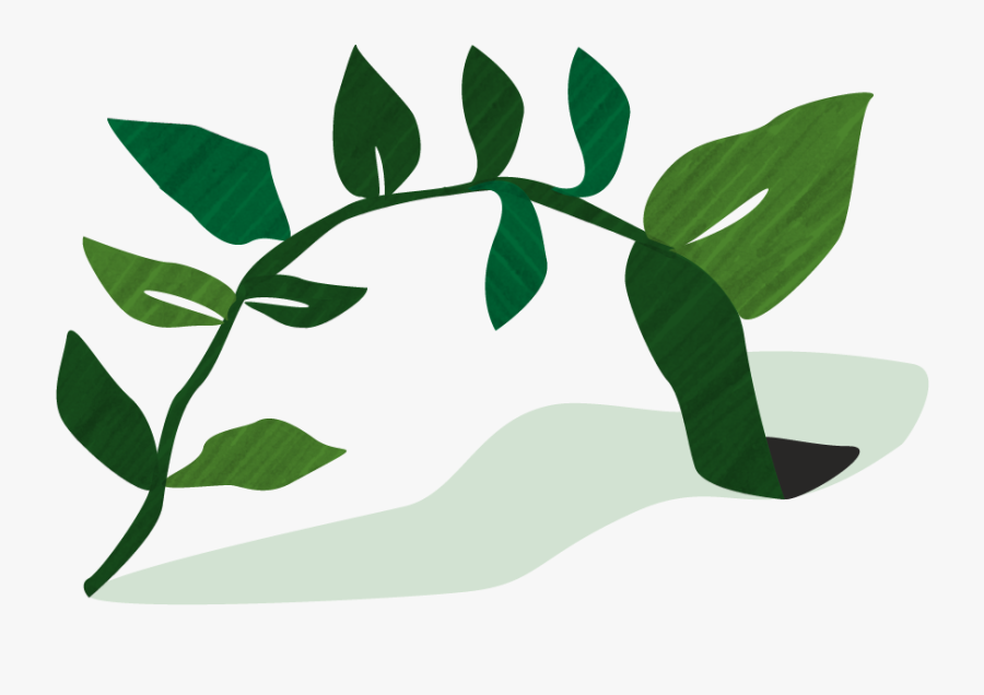 Illustration, Transparent Clipart