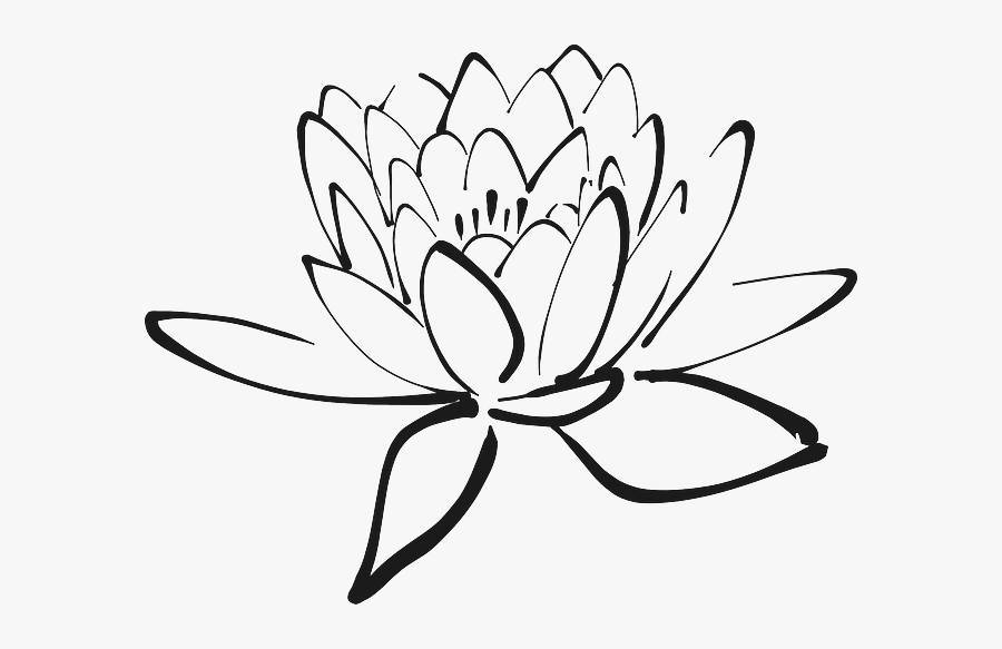 Enlightenment Drawing Lotus - Lotus Flower Clip Art Black And White, Transparent Clipart