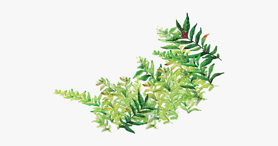 Ftestickers Watercolor Leaves Greenery Freetoedit - Leaves Png Cartoon, Transparent Clipart