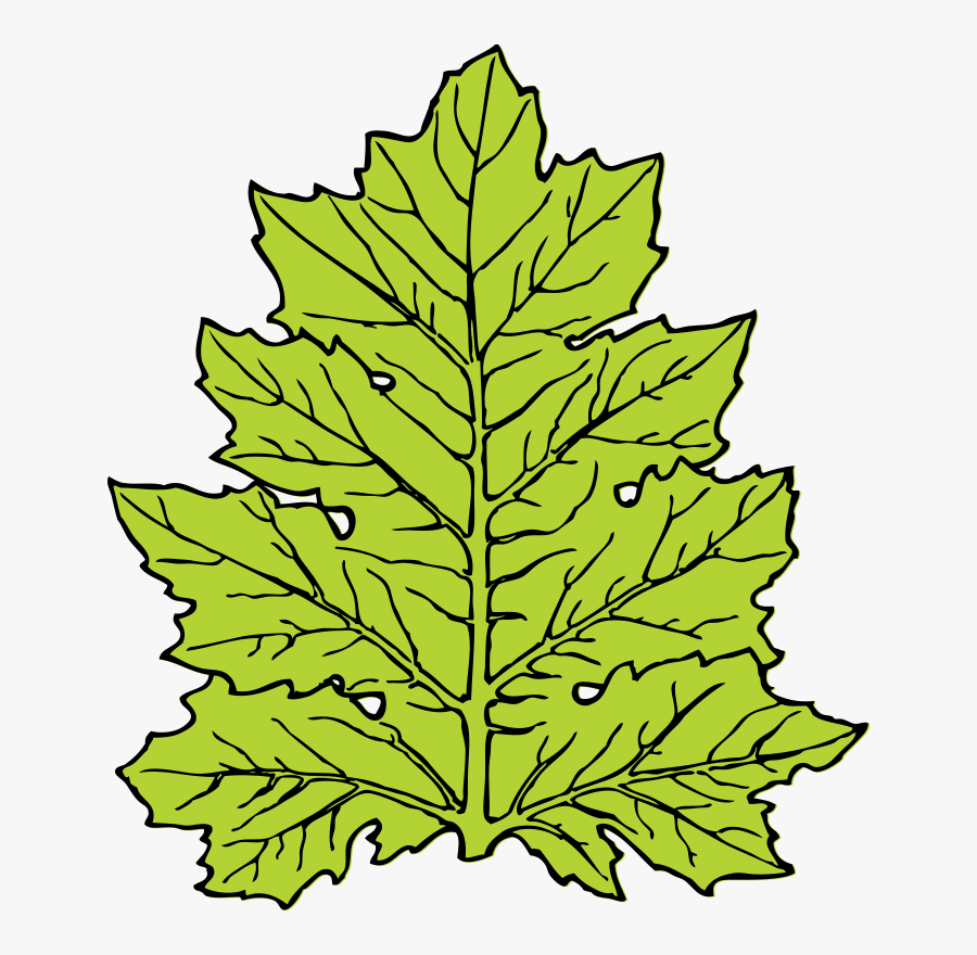 Free Vector Acanthus Leaf Clip Art - Leaf Clip Art, Transparent Clipart