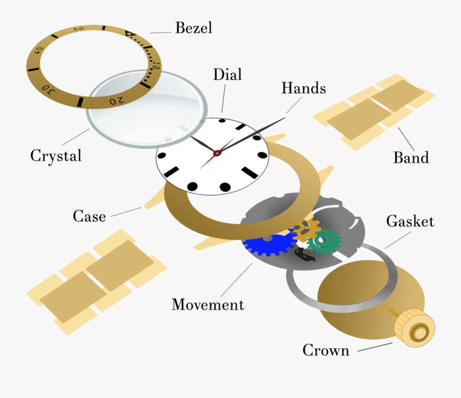 Professional Repair Services Myjewelryrepair - Parts Of A Watch Case, Transparent Clipart