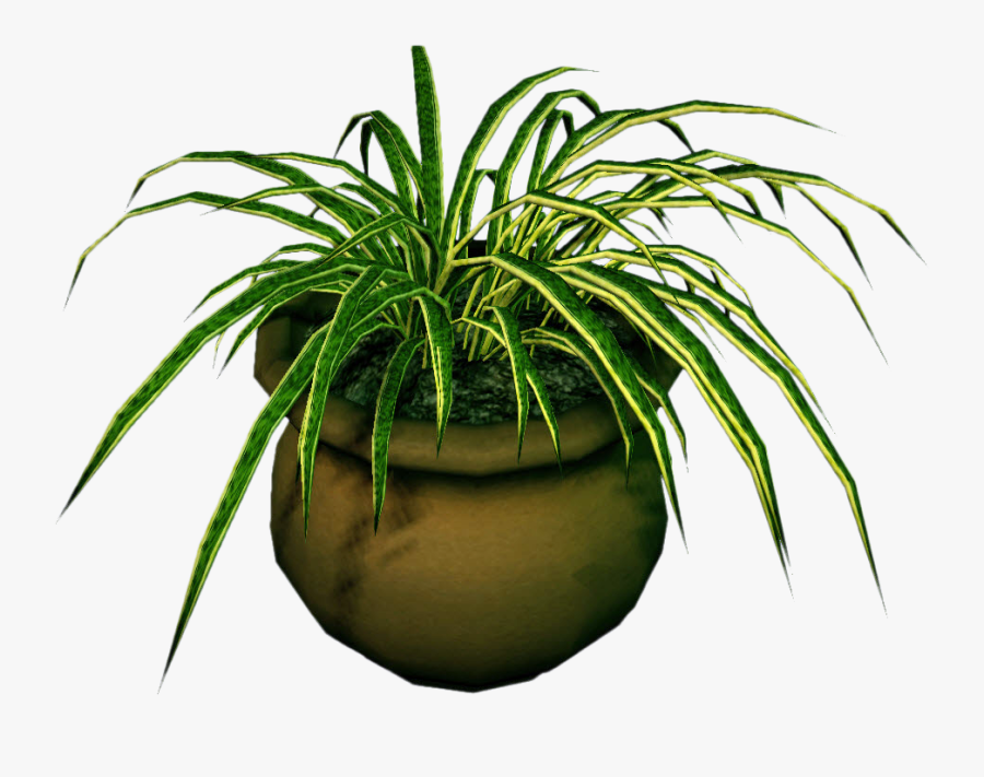 Transparent Marijuana Plant Clipart - Grass, Transparent Clipart