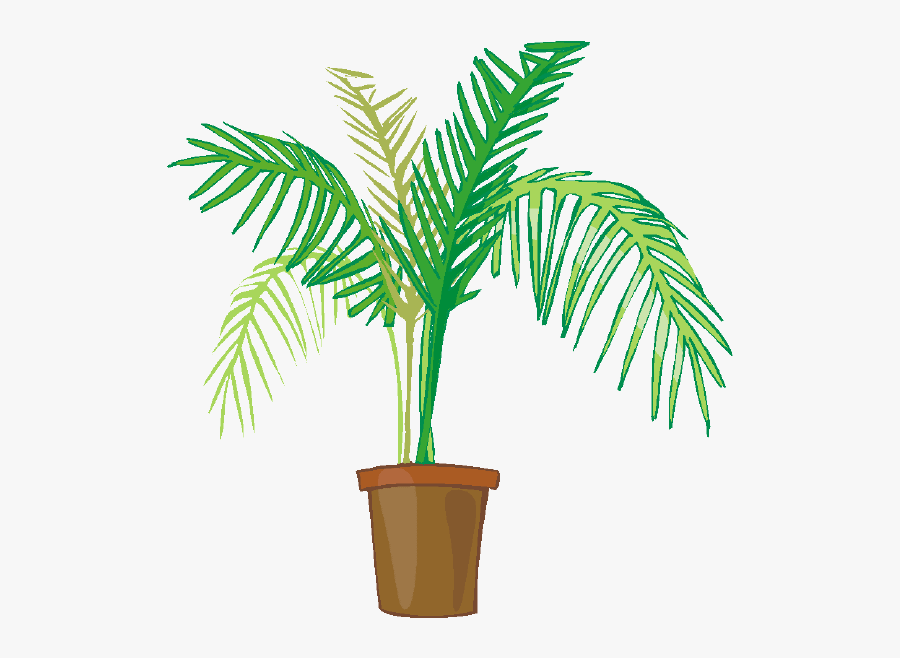 Indoor Potted Plants - Palm Plant Clip Art, Transparent Clipart