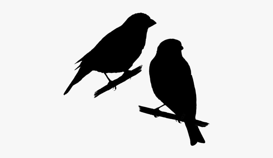 Finches North America Png Free Transparent Clipart - Parrot, Transparent Clipart