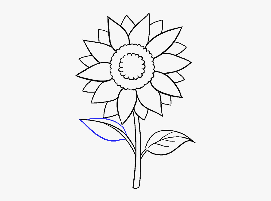 How To Draw A - Aesthetic Sunflower Drawing, Transparent Clipart