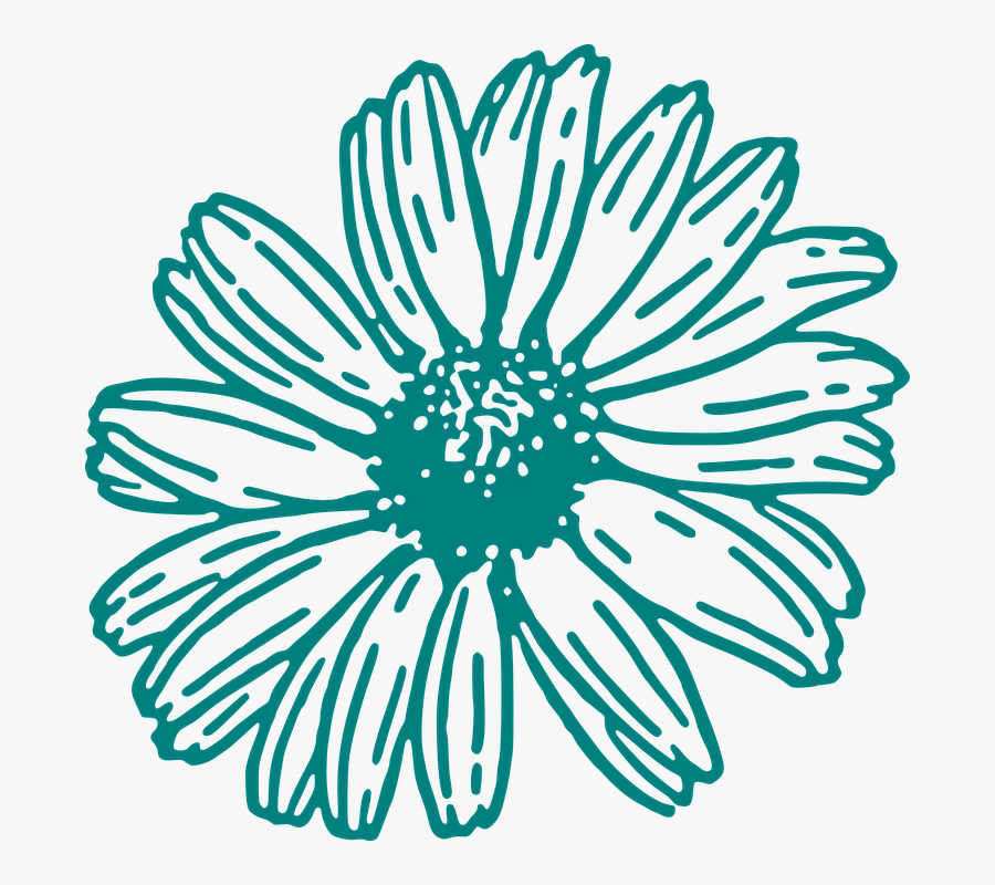Daisy Flower Outline - White Outline Flower Clipart, Transparent Clipart