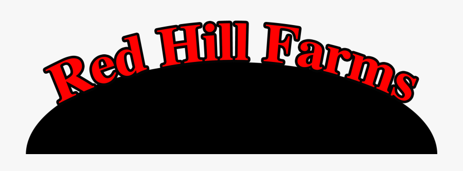 Herd Clipart Red Angus - Illustration, Transparent Clipart