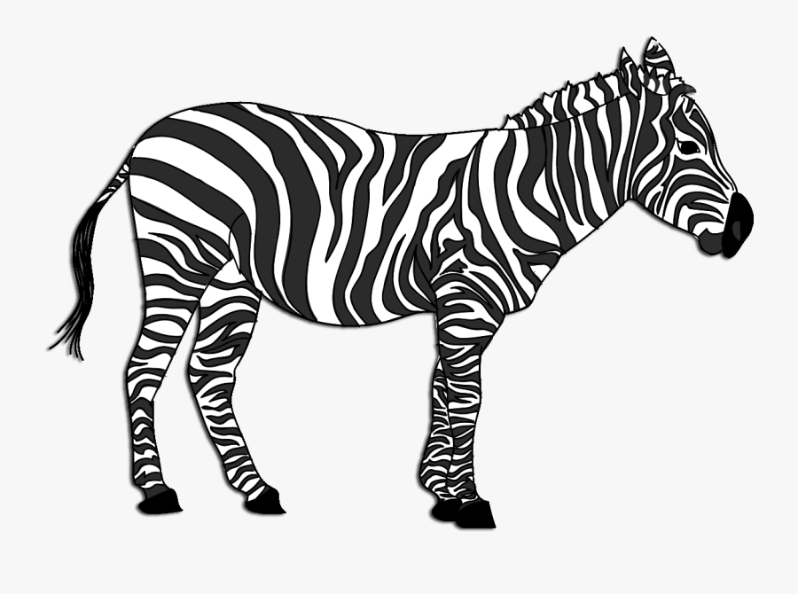 Buncee Imagine A Chase - Zebra, Transparent Clipart